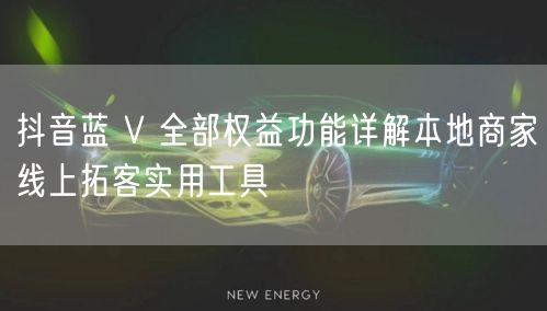 抖音蓝 V 全部权益功能详解本地商家线上拓客实用工具