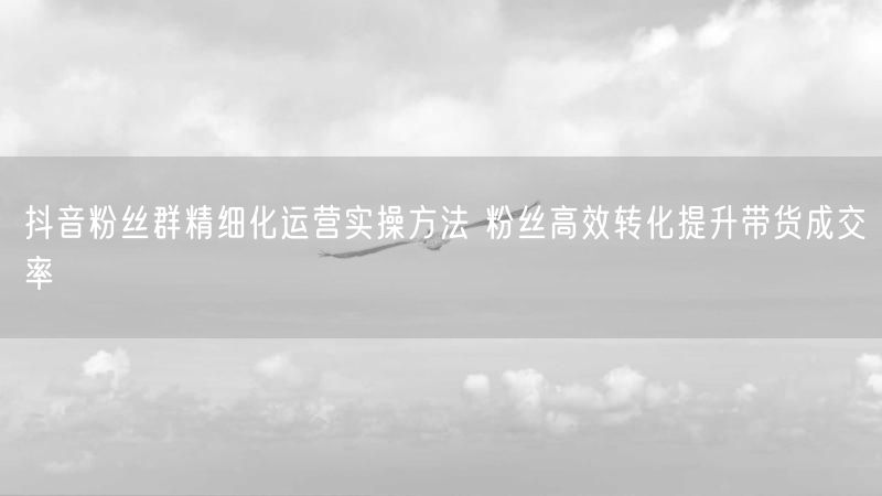 抖音粉丝群精细化运营实操方法 粉丝高效转化提升带货成交率