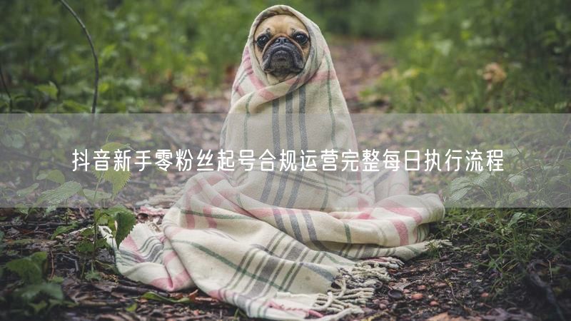 抖音新手零粉丝起号合规运营完整每日执行流程