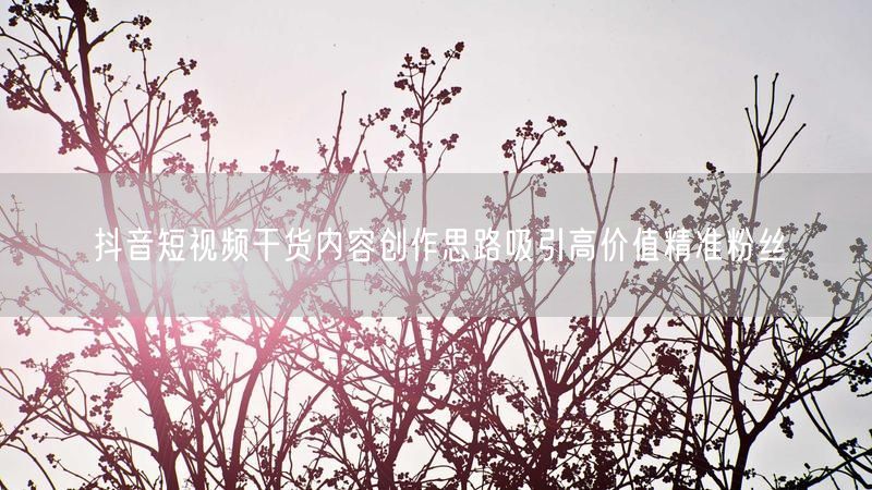 抖音短视频干货内容创作思路吸引高价值精准粉丝