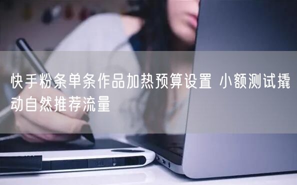 快手粉条单条作品加热预算设置 小额测试撬动自然推荐流量
