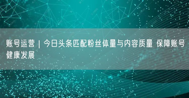 账号运营|今日头条匹配粉丝体量与内容质量 保障账号健康发展