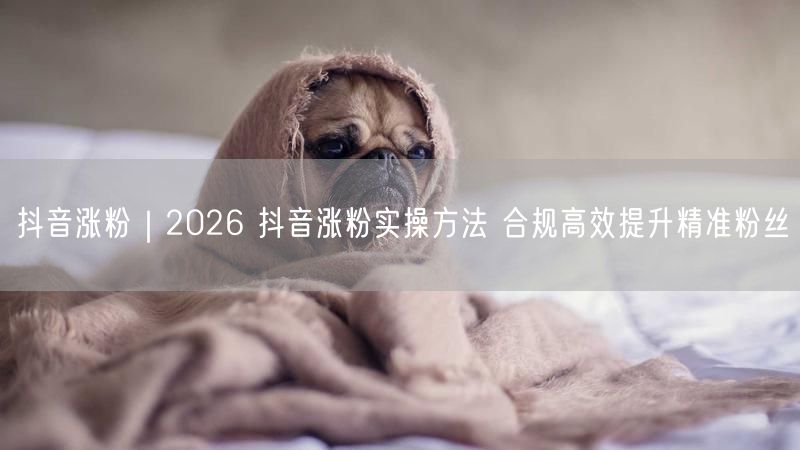 抖音涨粉｜2026 抖音涨粉实操方法 合规高效提升精准粉丝