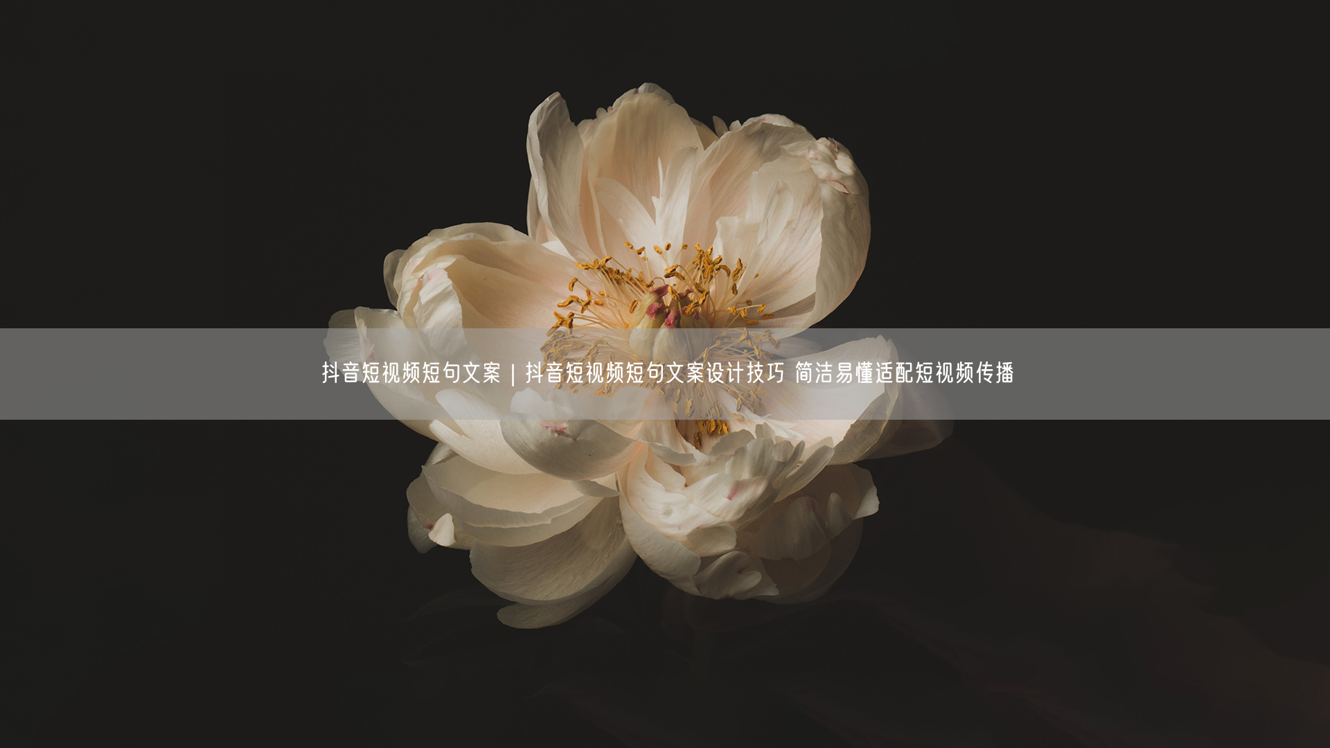抖音短视频短句文案|抖音短视频短句文案设计技巧 简洁易懂适配短视频传播