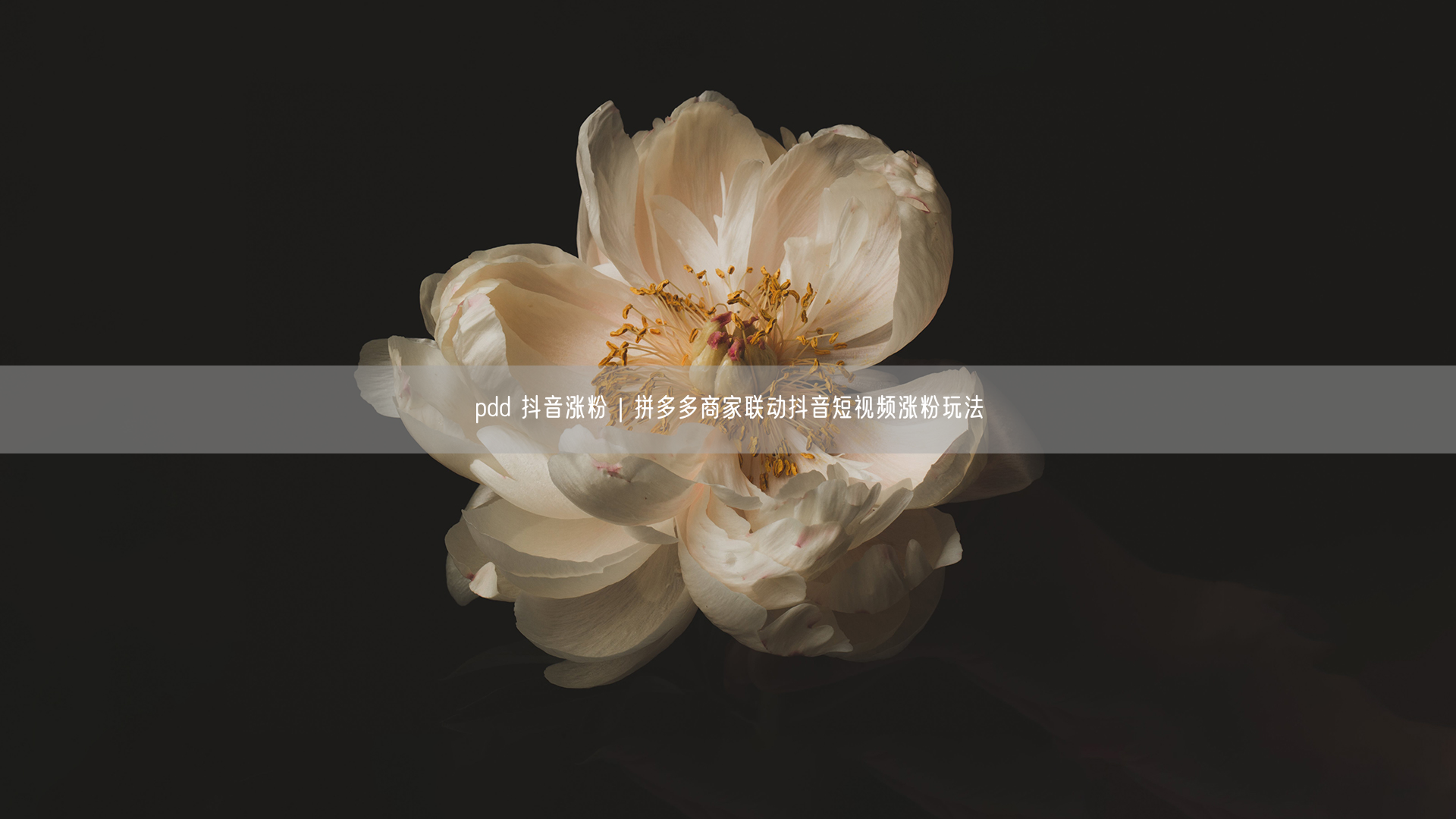 pdd 抖音涨粉|拼多多商家联动抖音短视频涨粉玩法