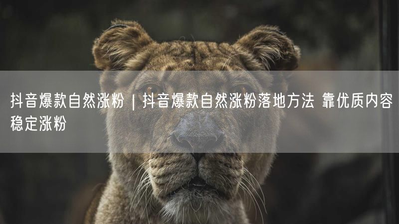 抖音爆款自然涨粉｜抖音爆款自然涨粉落地方法 靠优质内容稳定涨粉