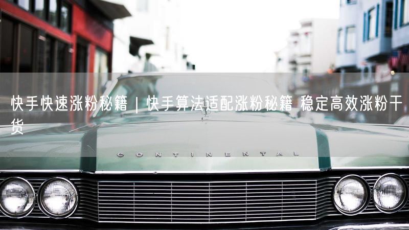 快手快速涨粉秘籍｜快手算法适配涨粉秘籍 稳定高效涨粉干货