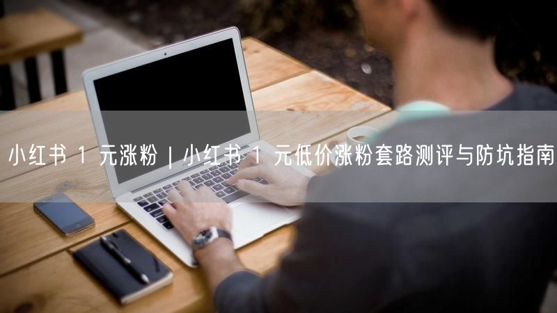 小红书 1 元涨粉|小红书 1 元低价涨粉套路测评与防坑指南