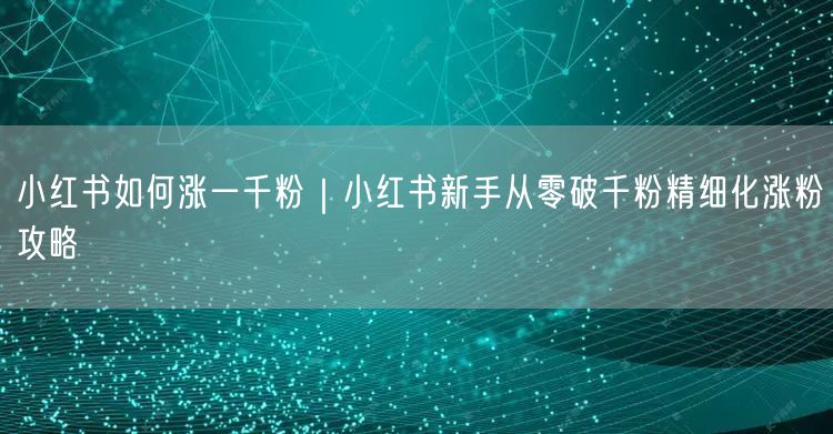 小红书新手必看！精细化涨粉攻略，快速破千粉技巧