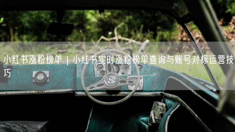 小红书涨粉榜单｜小红书实时涨粉榜单查询与账号对标运营技巧
