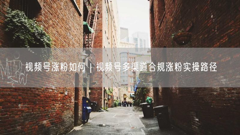 视频号涨粉秘籍：多渠道合规实操与内容互动策略