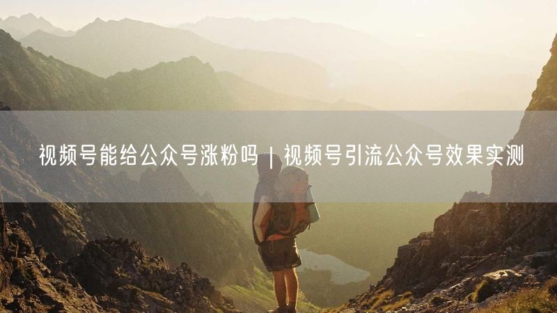 视频号能给公众号涨粉吗|视频号引流公众号效果实测