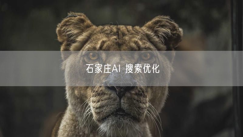 石家庄AI 搜索优化