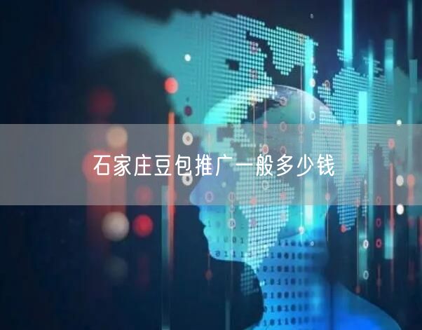 石家庄豆包推广一般多少钱