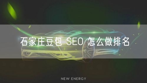 石家庄豆包 SEO 怎么做排名