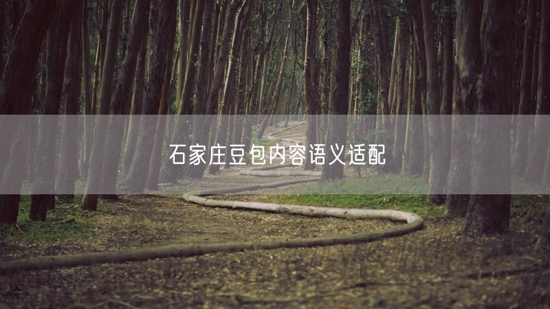 石家庄豆包内容语义适配