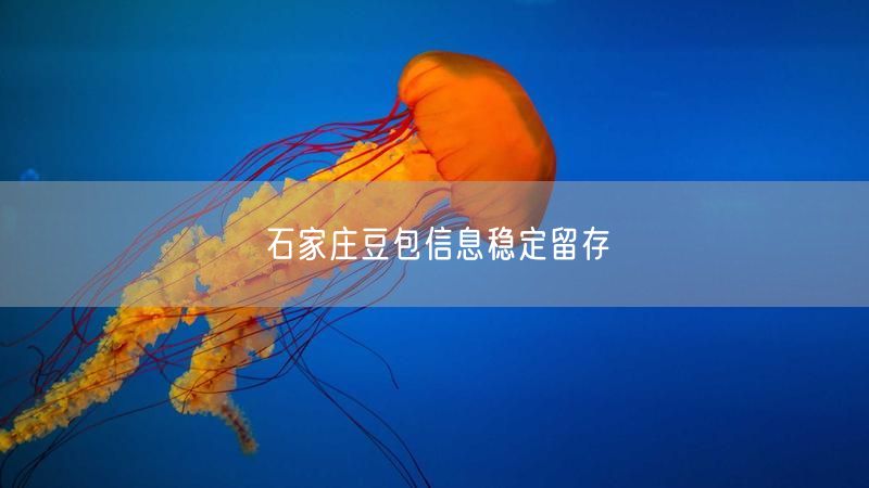 石家庄豆包信息稳定留存