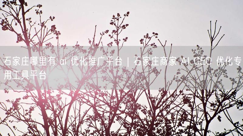 石家庄哪里有 ai 优化推广平台|石家庄商家 AI GEO 优化专用工具平台