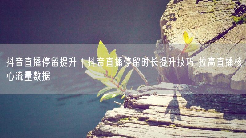 抖音直播停留提升|抖音直播停留时长提升技巧 拉高直播核心流量数据
