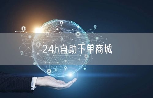24h自助下单商城