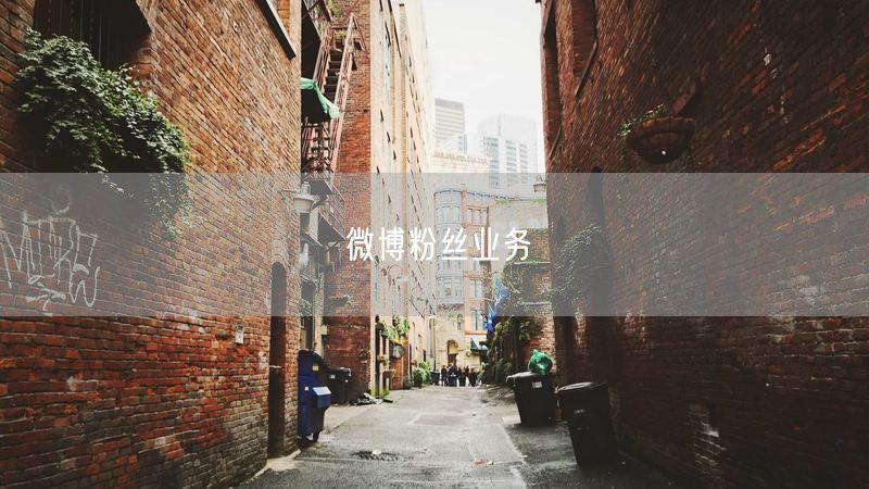 微博粉丝业务全攻略：粉丝增长策略与质量提升秘籍