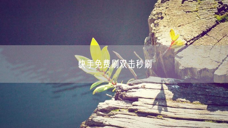 快手免费刷双击秒刷