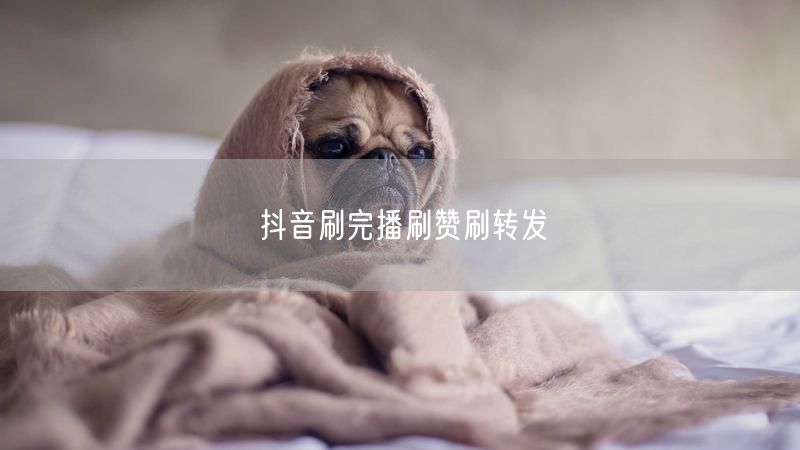 抖音刷完播刷赞刷转发