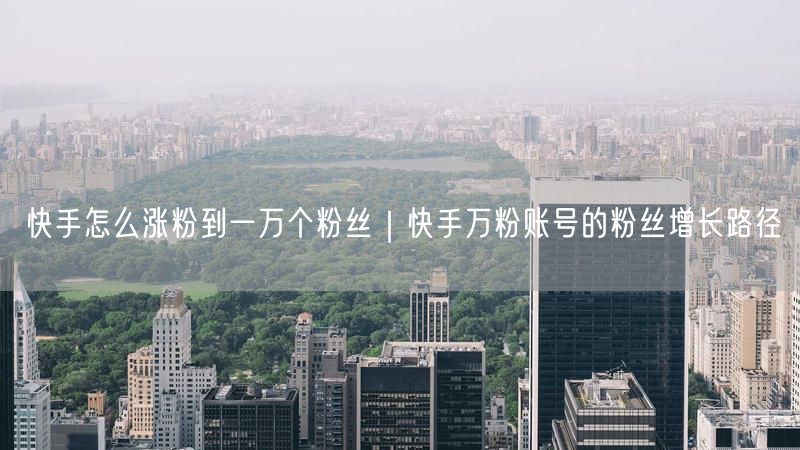 快手怎么涨粉到一万个粉丝｜快手万粉账号的粉丝增长路径