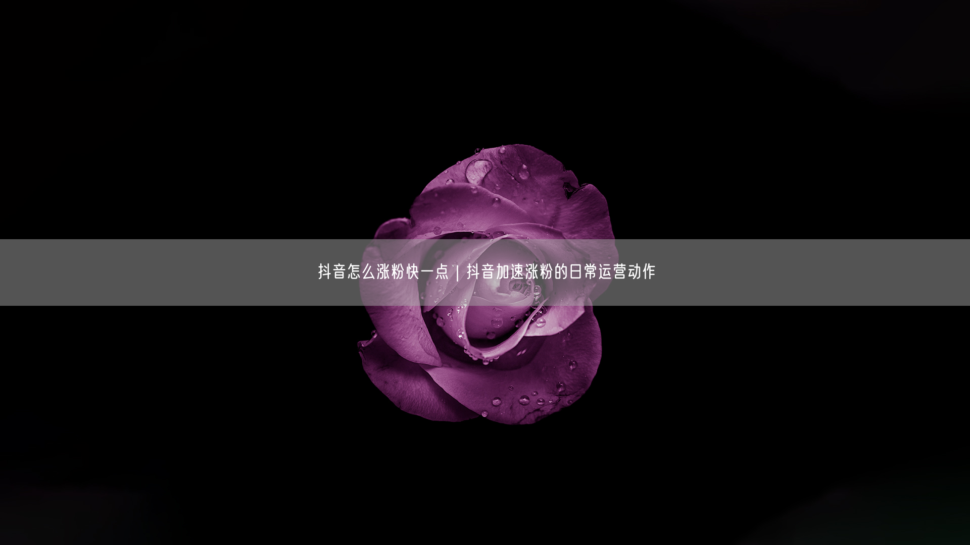 抖音怎么涨粉快一点｜抖音加速涨粉的日常运营动作