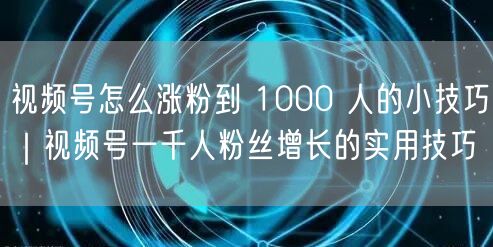 视频号怎么涨粉到 1000 人的小技巧｜视频号一千人粉丝增长的实用技巧
