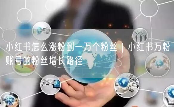 小红书怎么涨粉到一万个粉丝｜小红书万粉账号的粉丝增长路径