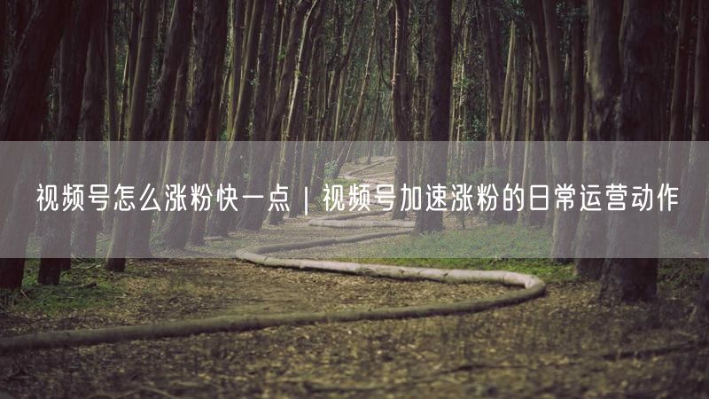 视频号怎么涨粉快一点｜视频号加速涨粉的日常运营动作