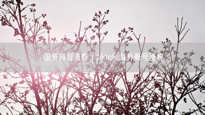 国外抖音涨粉｜tiktok 海外账号涨粉
